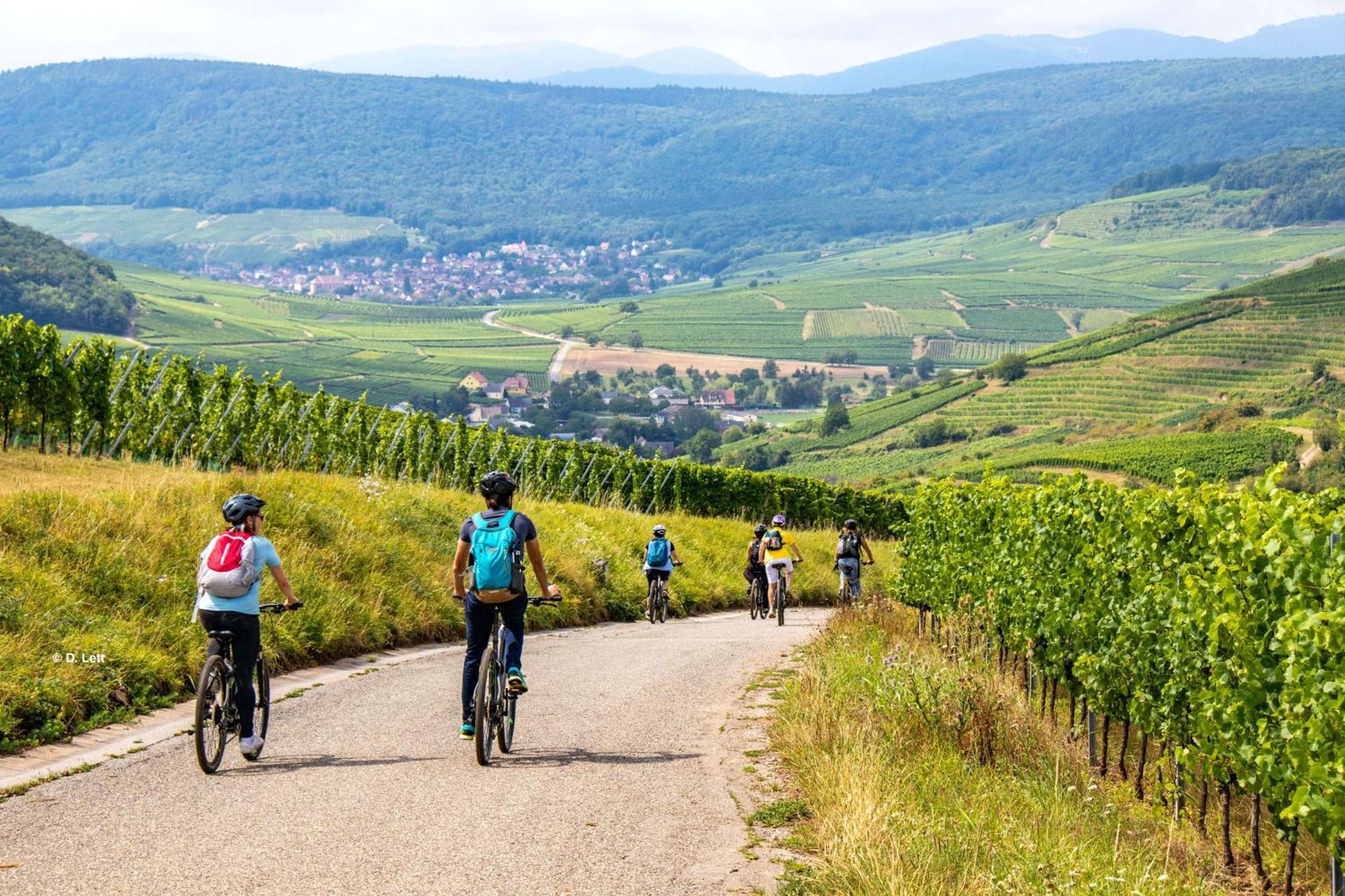 Domaine Boheme I Art De Vivre Lägenhet Guebwiller Exteriör bild